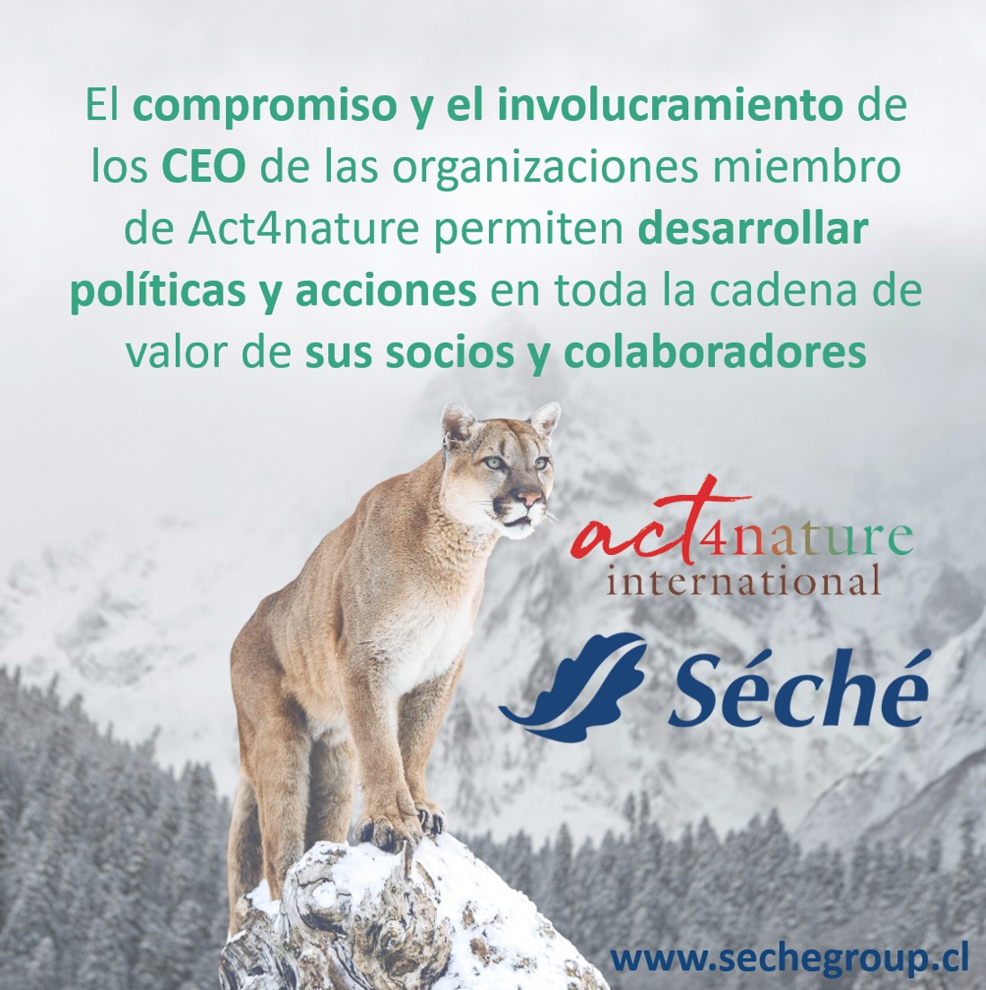 Por qué es importante pertenecer a Act4nature? - Séché Group Chile
